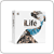 Apple&nbsp;iLife 06 Retail (Family Pack 5 Licenses)