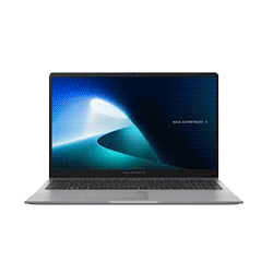 Asus ExpertBook P1 P1503CVA-S72897WS Intel Core 5-210H