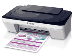 Canon Pixma E400 All in One Inkjet Printer