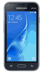 Samsung Galaxy J1 Mini (J105B)
