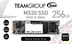 Team Group MS30 256GB M.2 SSD SATA III 6Gb/s