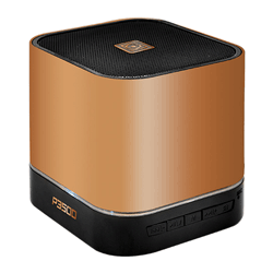 Audiobox P3500 10W Bluetooth Speaker with Multiple Input + FM radio ( Gold )